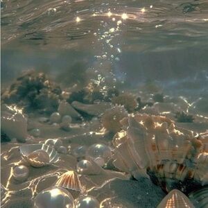 Meet your Posher, Kiki